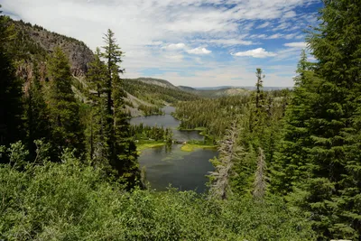 DSC_9992 (Large).JPG